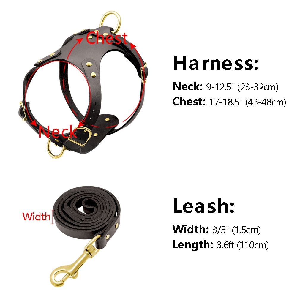 Genuine Leather Pet Harness - Zoomies