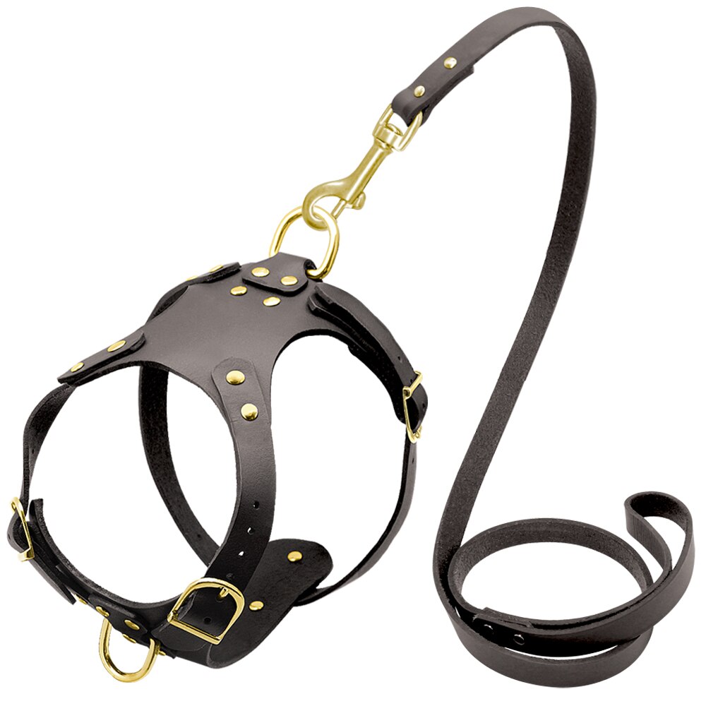Genuine Leather Pet Harness - Zoomies