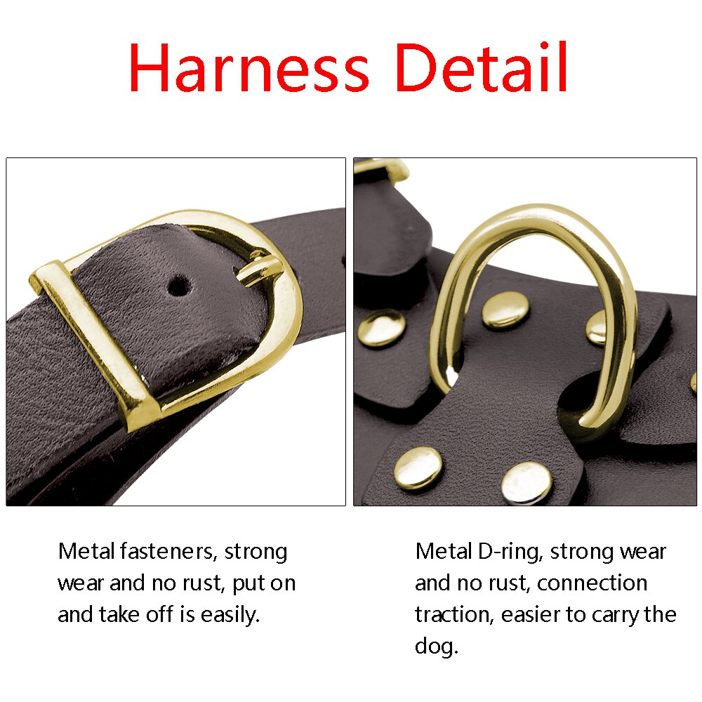 Genuine Leather Pet Harness - Zoomies