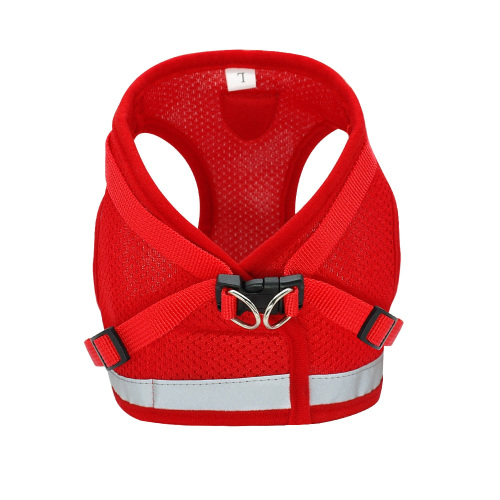 Harness for Chihuahua Pug - Zoomies