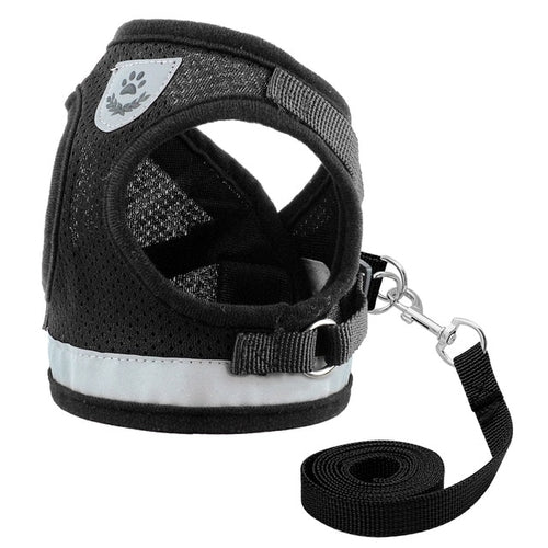 Harness for Chihuahua Pug - Zoomies
