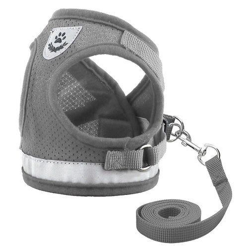 Harness for Chihuahua Pug - Zoomies