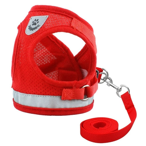 Harness for Chihuahua Pug - Zoomies