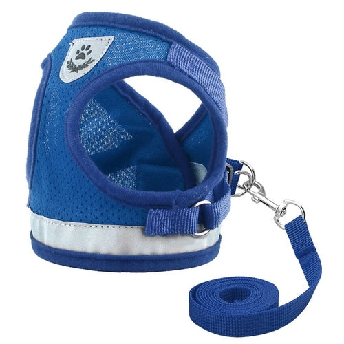 Harness for Chihuahua Pug - Zoomies
