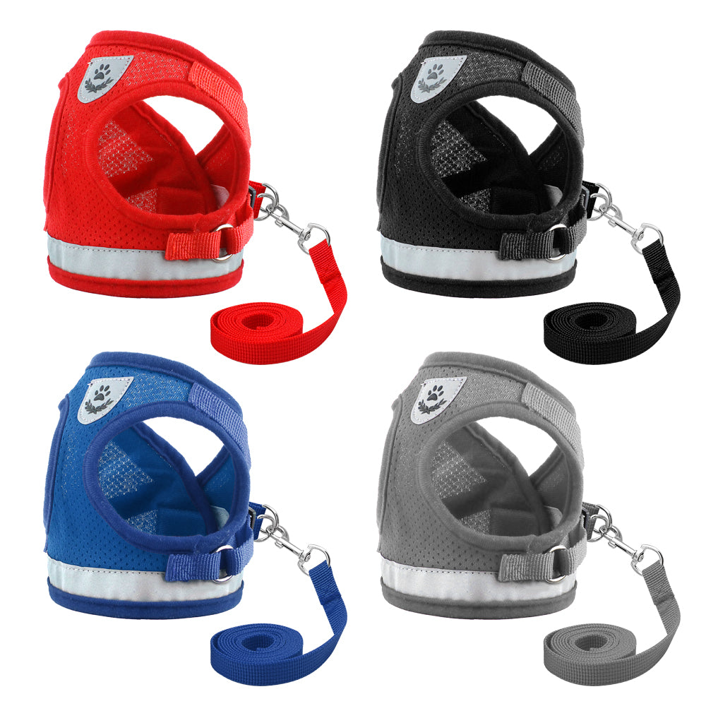 Harness for Chihuahua Pug - Zoomies