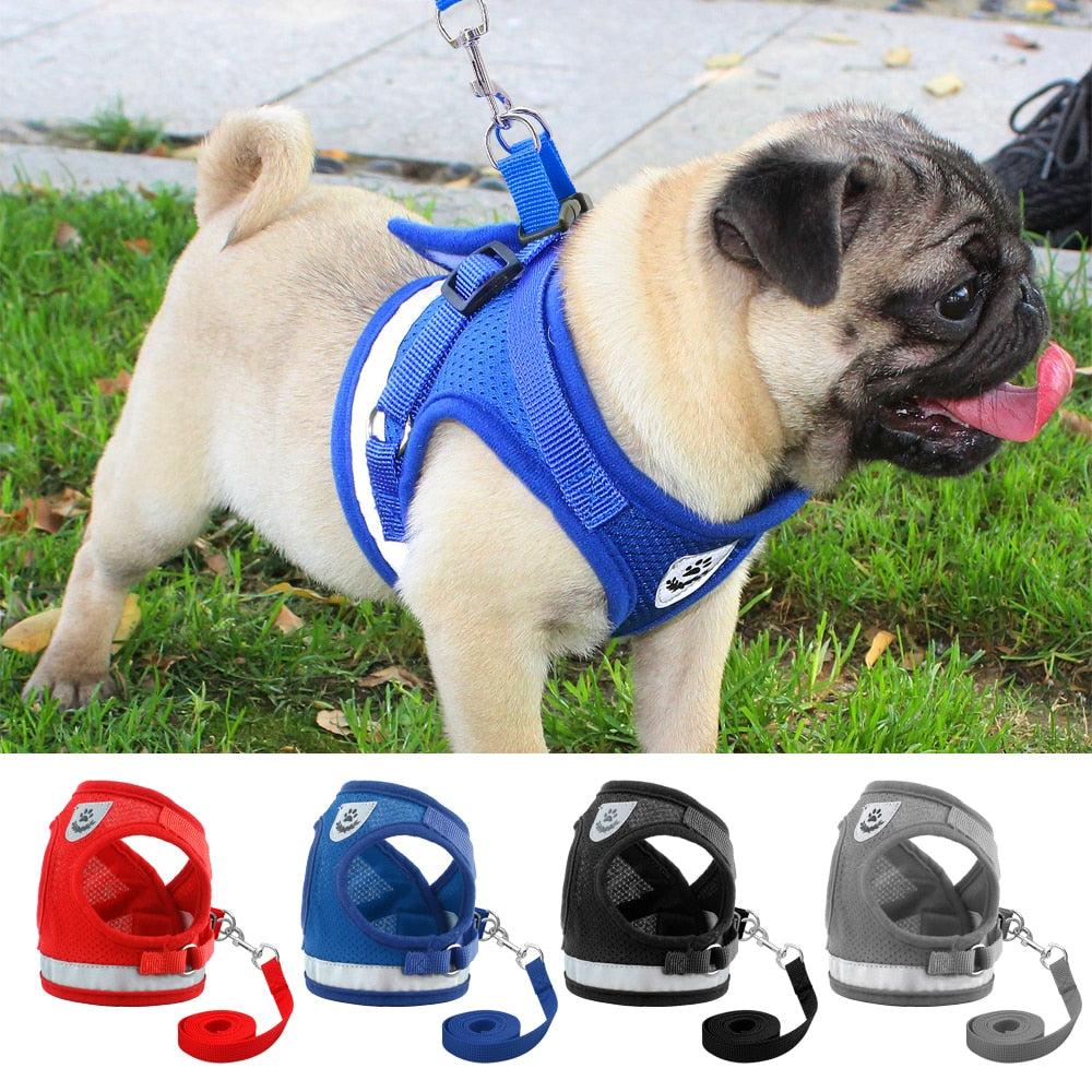 Harness for Chihuahua Pug - Zoomies