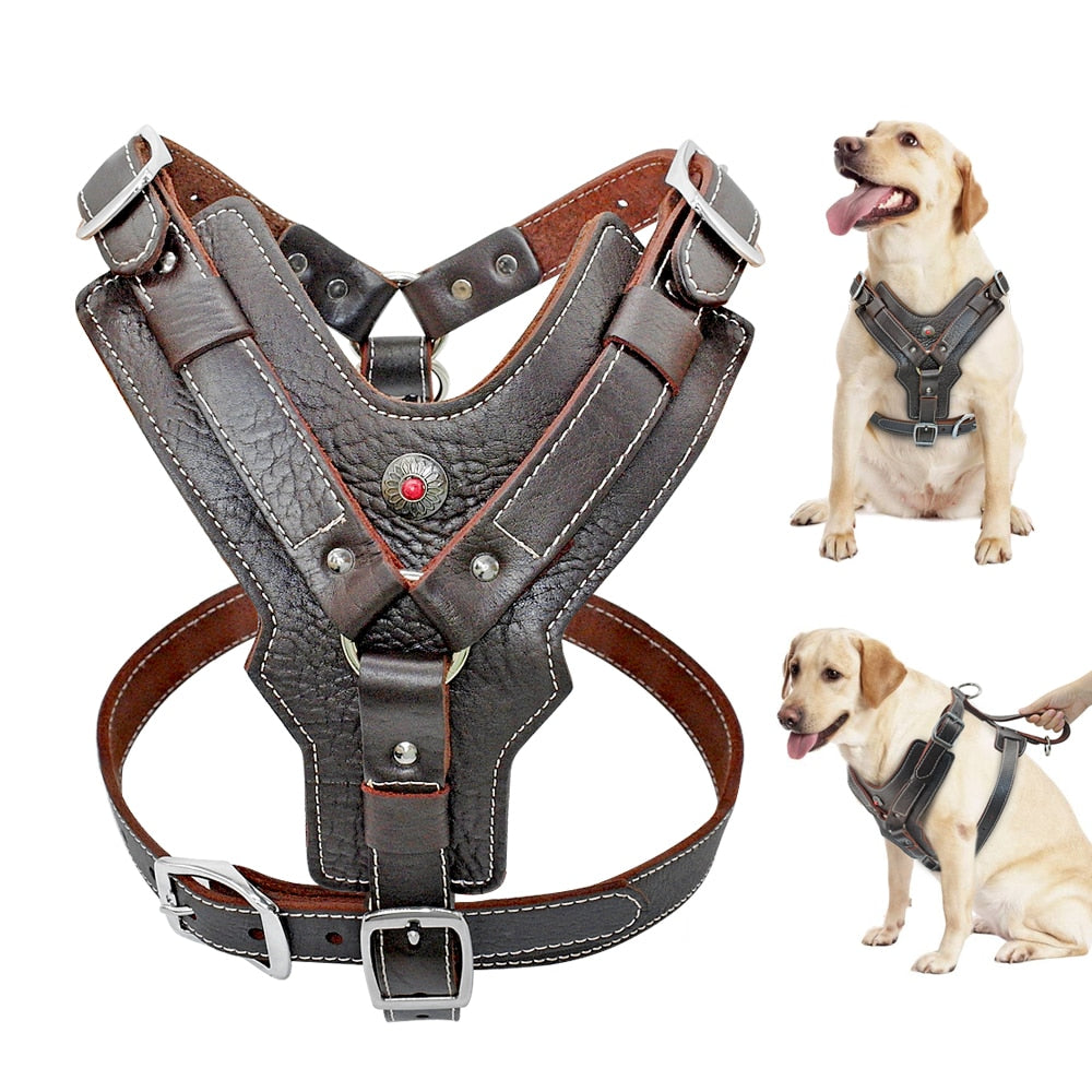 Durable Dog Harness - Zoomies