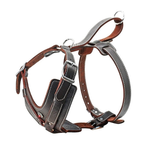 Durable Dog Harness - Zoomies