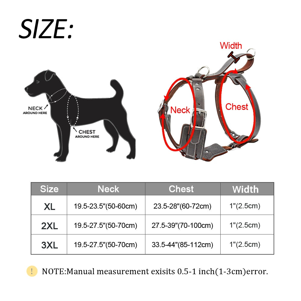 Durable Dog Harness - Zoomies
