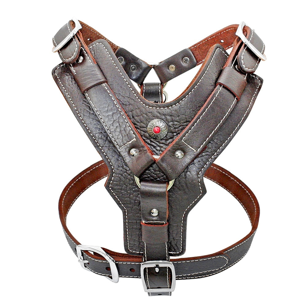 Durable Dog Harness - Zoomies