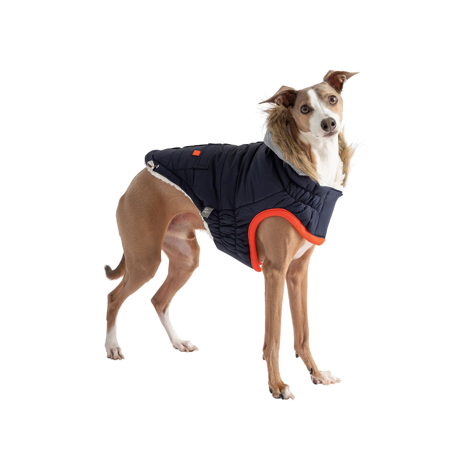 Winter Sailor Parka - Navy - Zoomies
