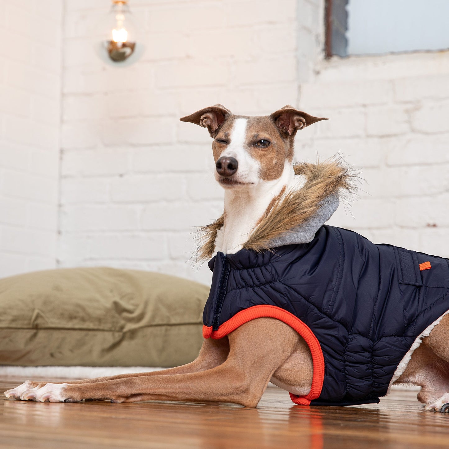 Winter Sailor Parka - Navy - Zoomies