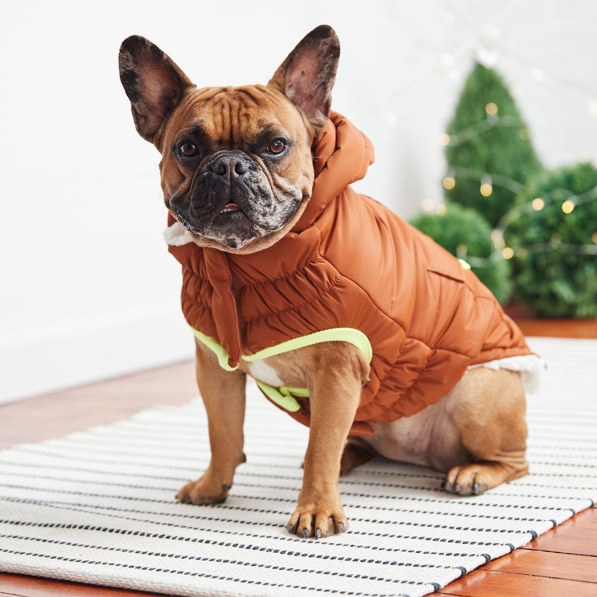 The Puff Parka - Hazel - Zoomies