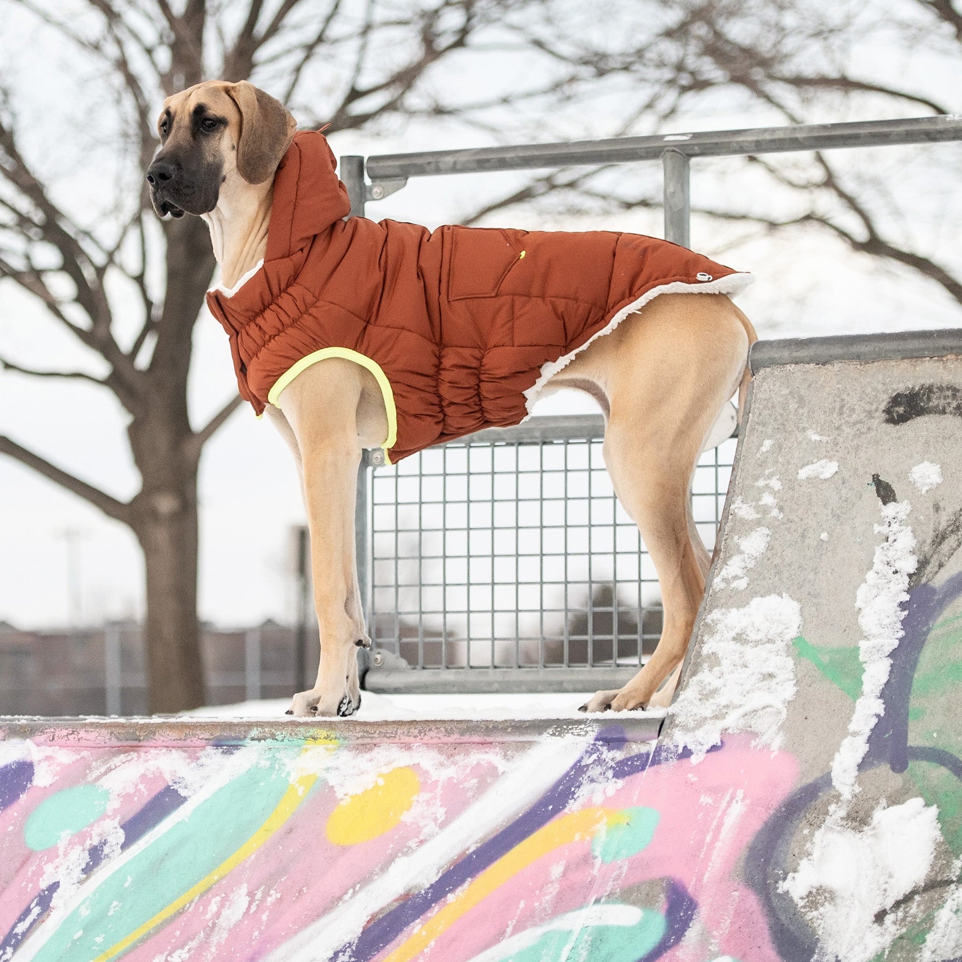 The Puff Parka - Hazel - Zoomies