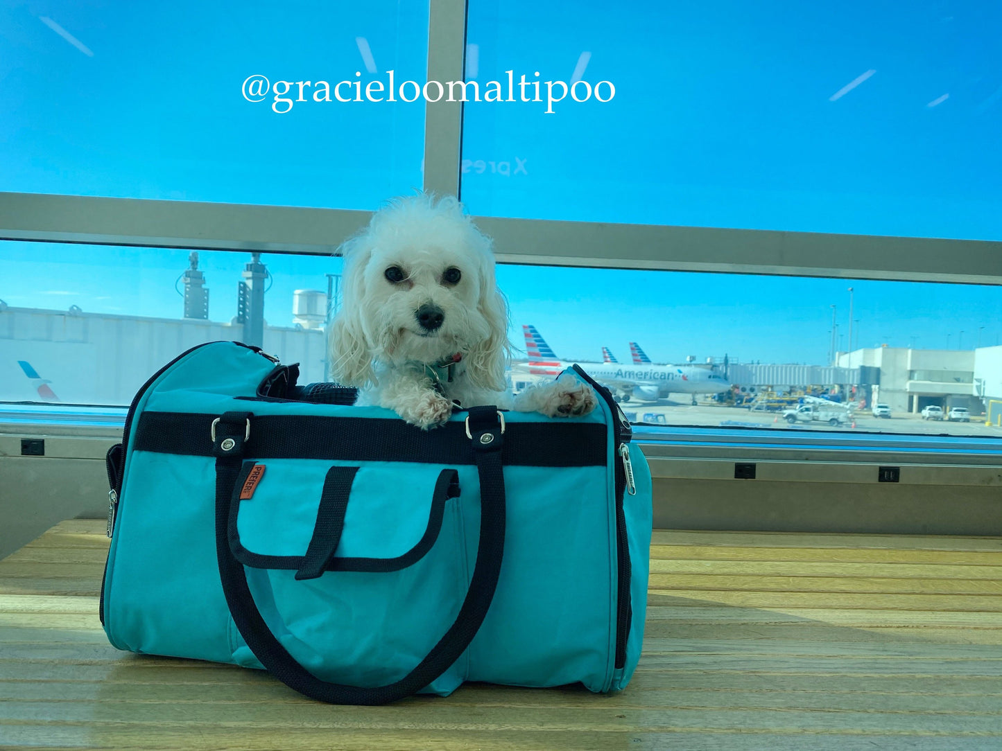 312 Hideaway™ Duffel - Zoomies