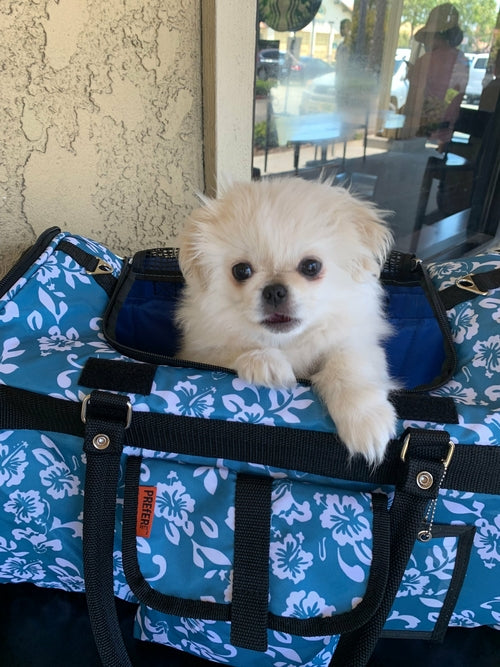 312 Hideaway™ Duffel - Zoomies