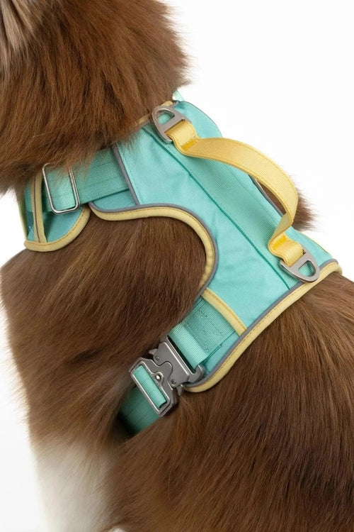 Ultimate Designer Dog Harness - Zoomies