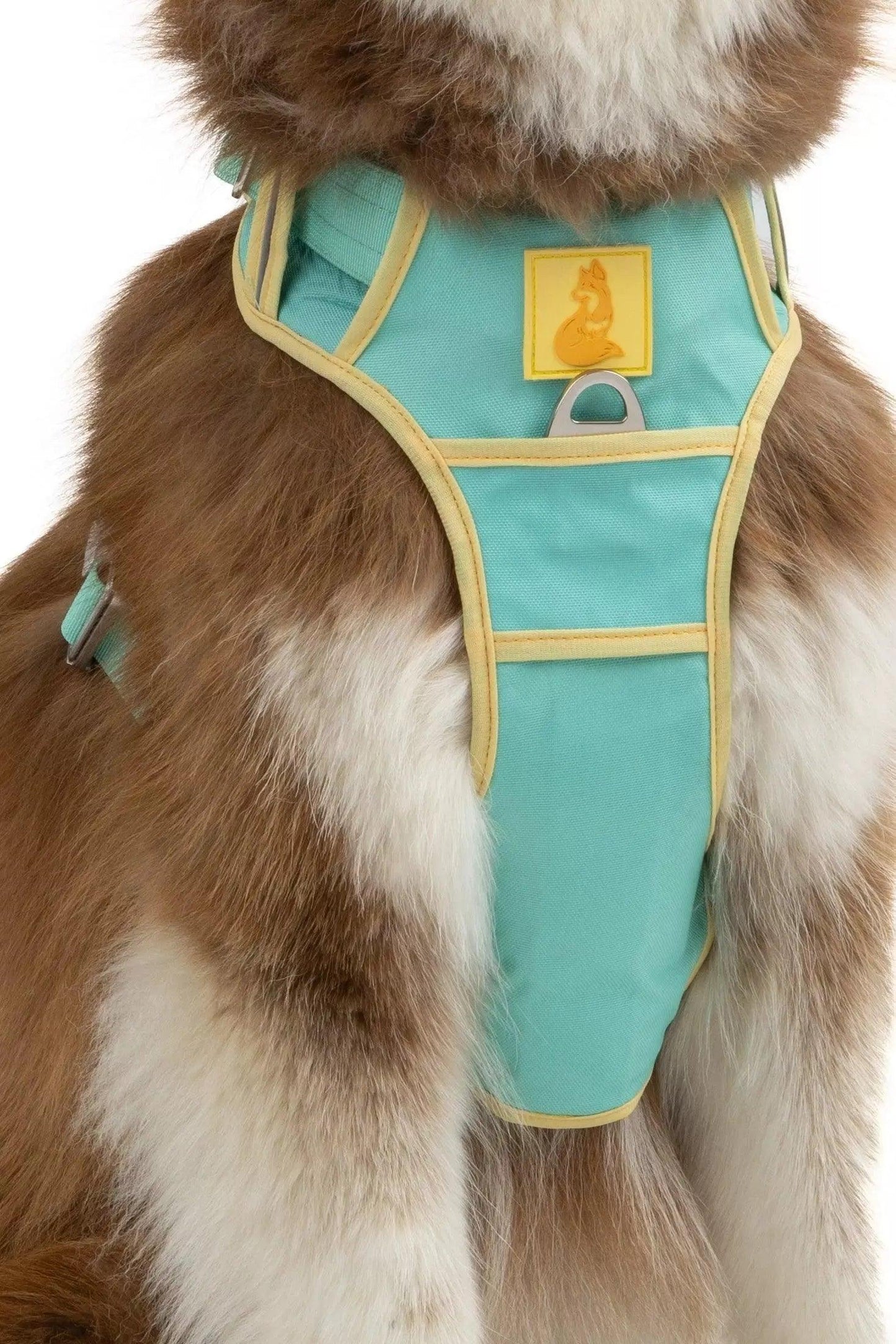Ultimate Designer Dog Harness - Zoomies