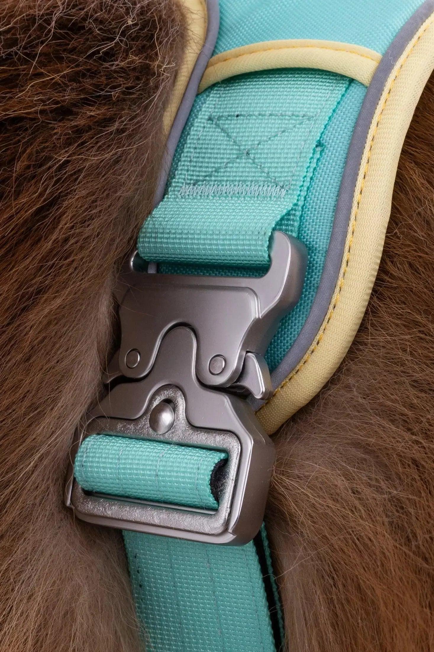 Ultimate Designer Dog Harness - Zoomies