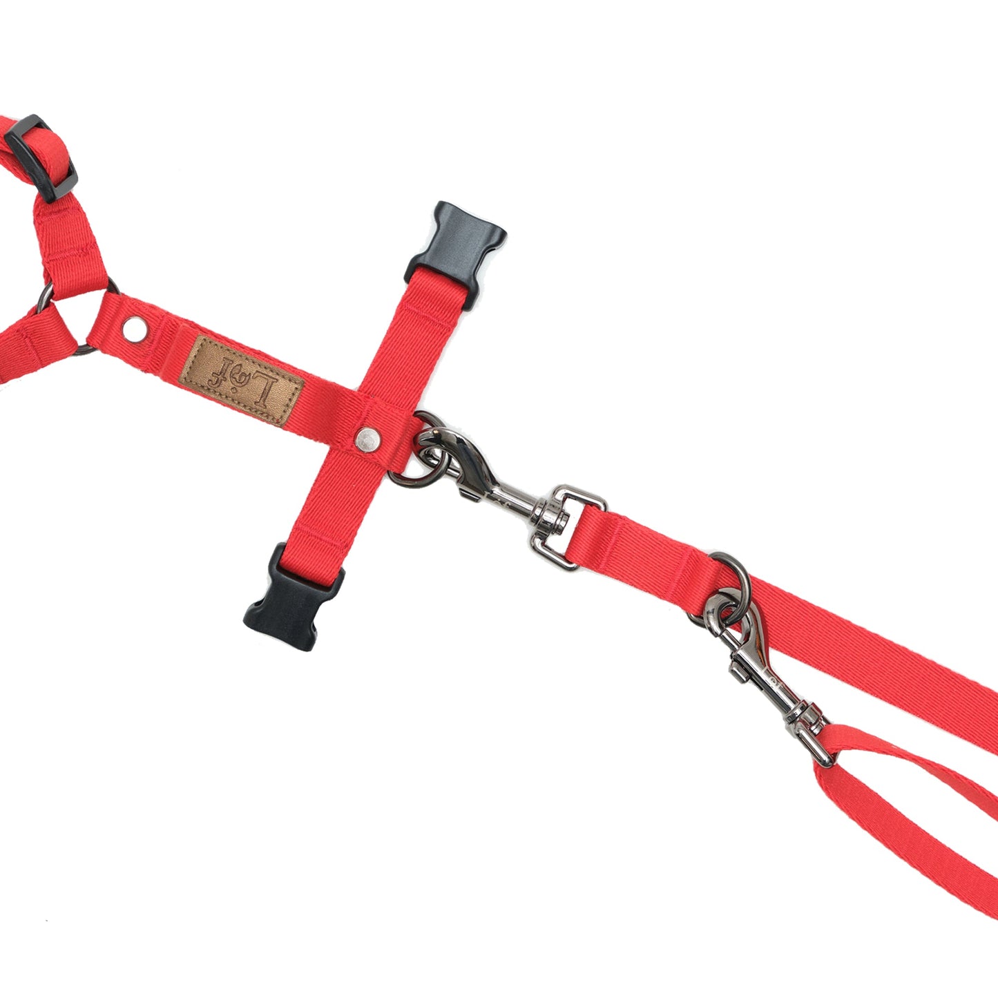 Lof Folding Lead Leash - Zoomies