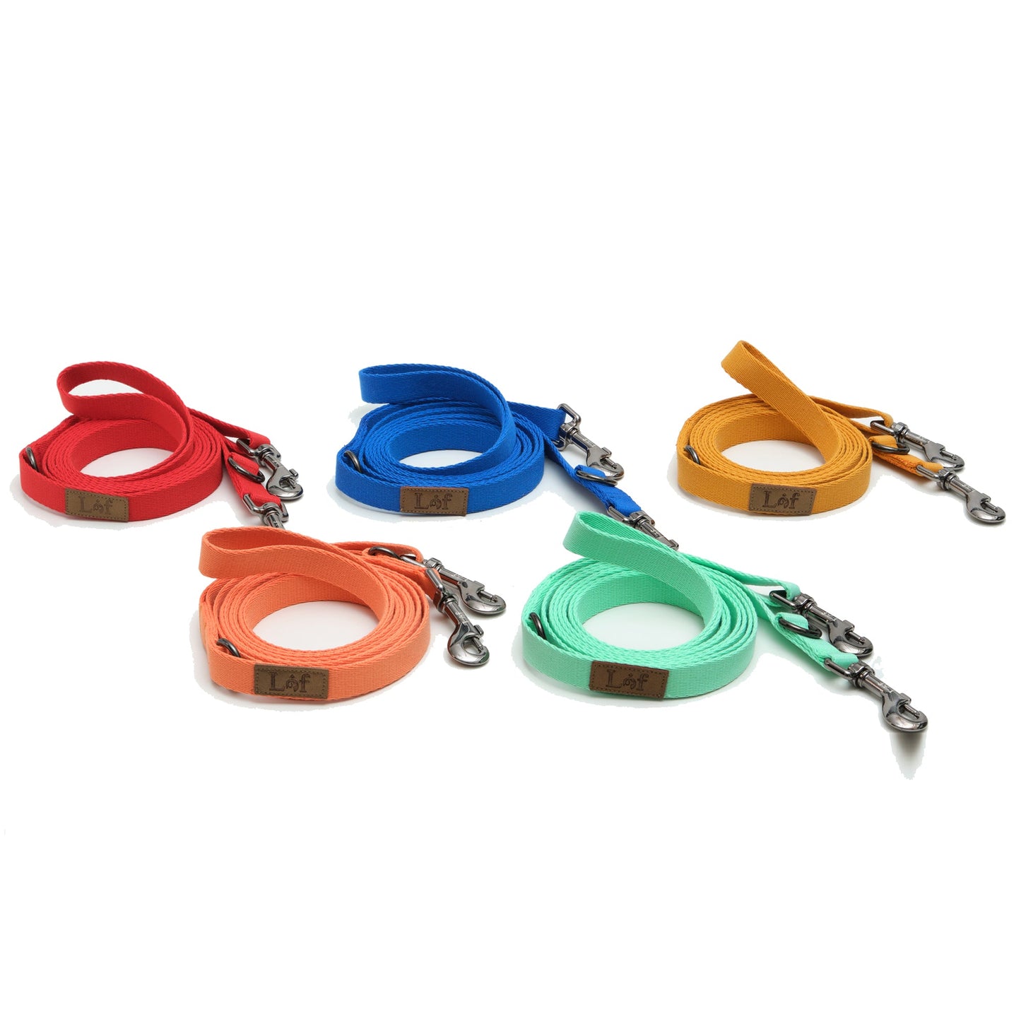 Lof Folding Lead Leash - Zoomies