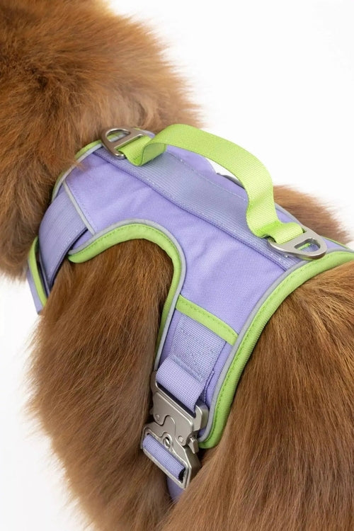 Ultimate Designer Dog Harness - Zoomies
