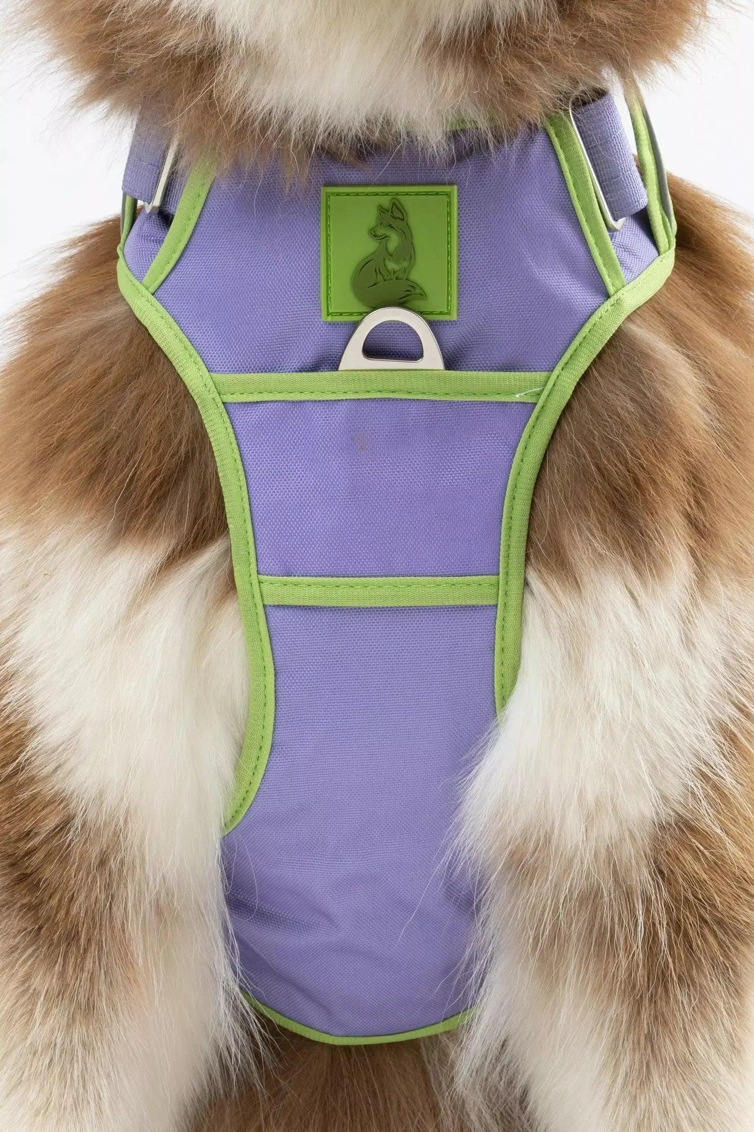 Ultimate Designer Dog Harness - Zoomies