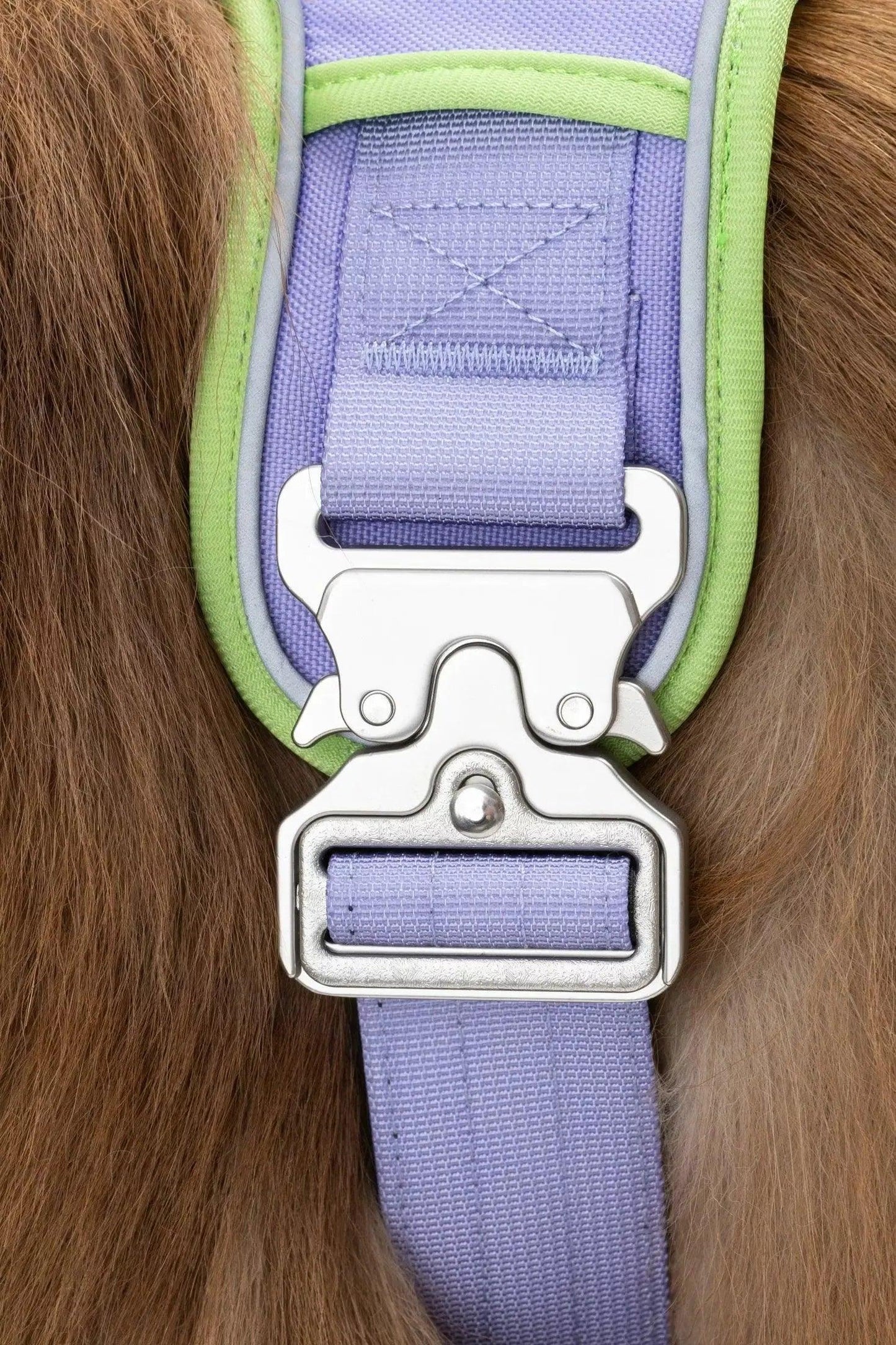 Ultimate Designer Dog Harness - Zoomies