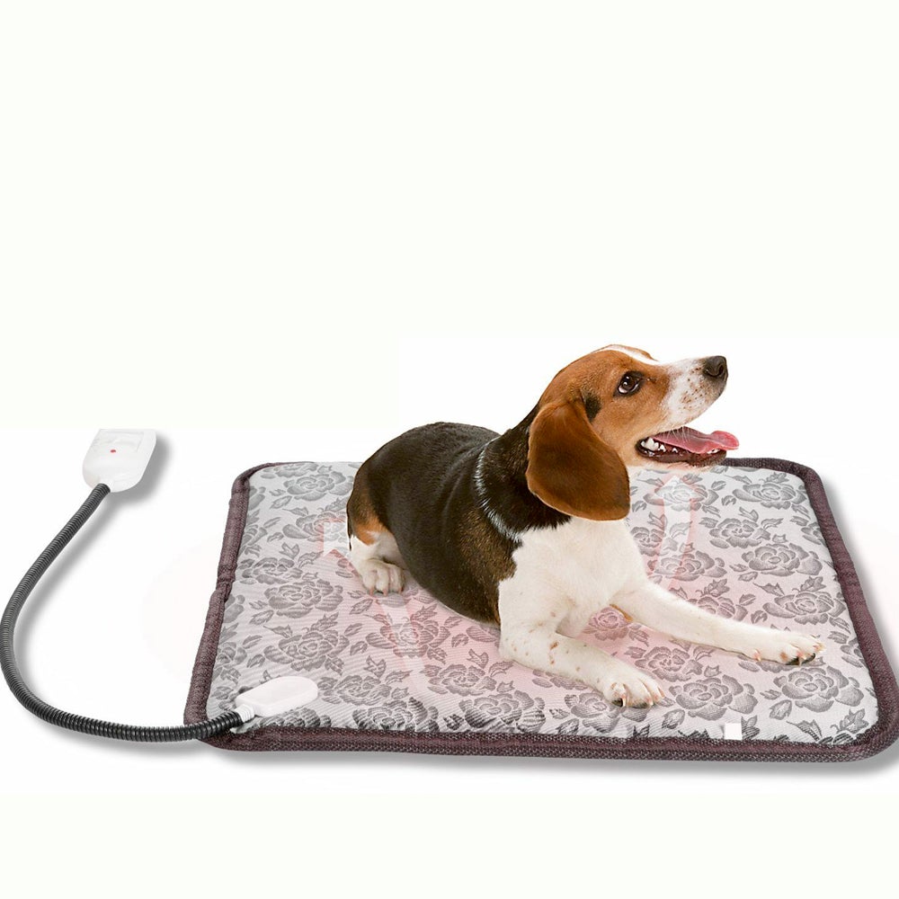Thermal Heating Waterproof Bed - Zoomies