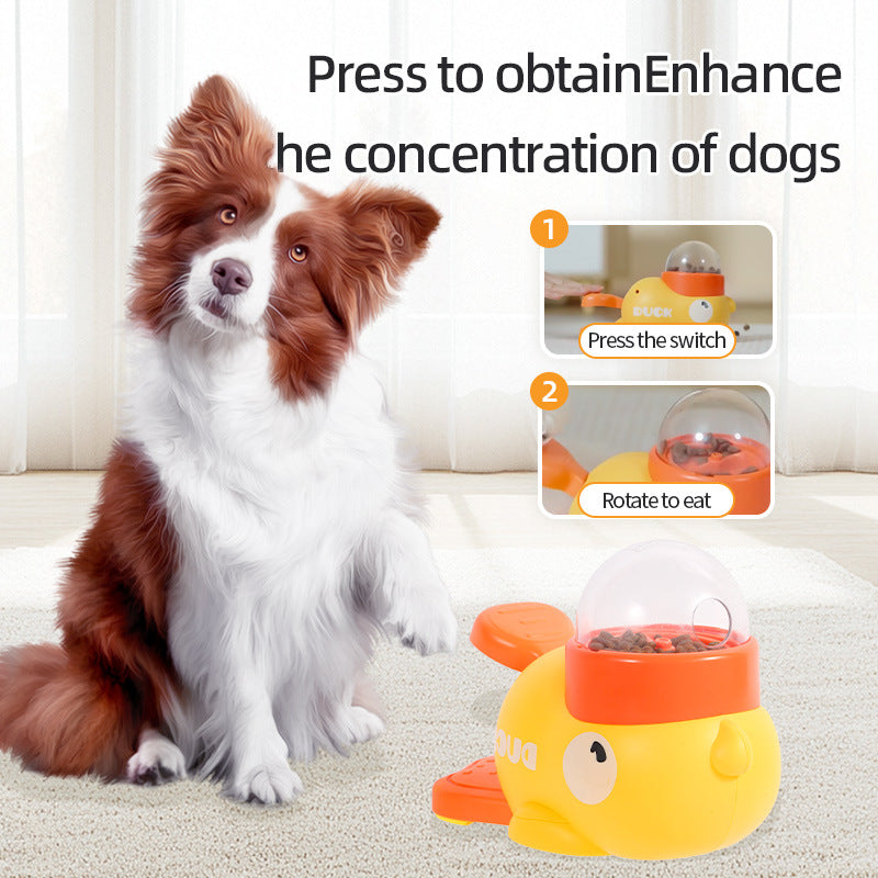 Dog Puzzle Feeder - Zoomies