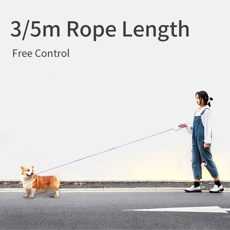 Automatic Retractable Lighting Leash - Zoomies