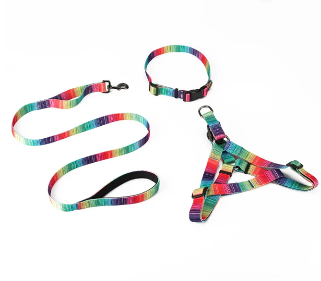 Matching Leash & Collars Set - Zoomies