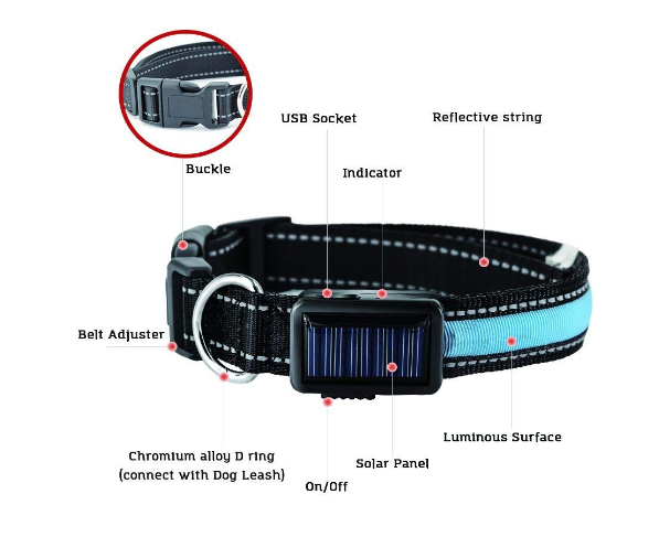 Solar Charge Reflective Led Collar - Zoomies