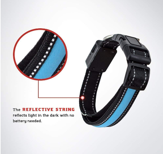 Solar Charge Reflective Led Collar - Zoomies