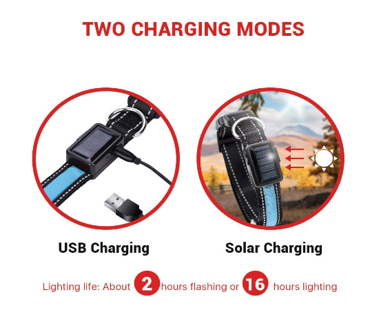 Solar Charge Reflective Led Collar - Zoomies