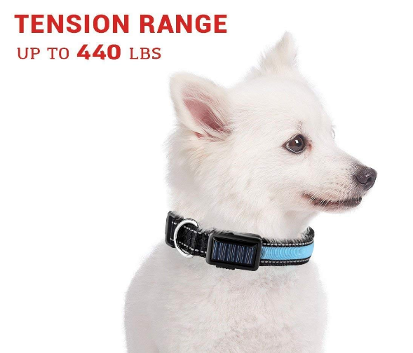Solar Charge Reflective Led Collar - Zoomies