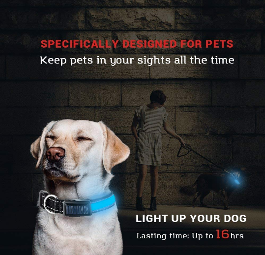 Solar Charge Reflective Led Collar - Zoomies
