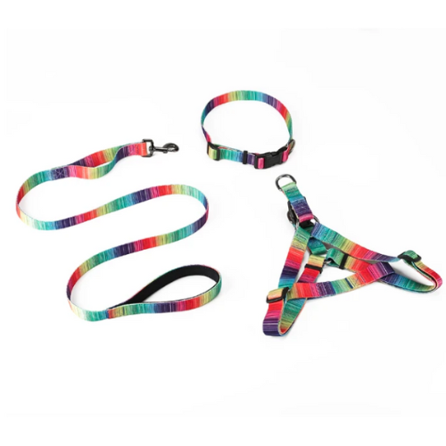 Matching Leash & Collars Set - Zoomies