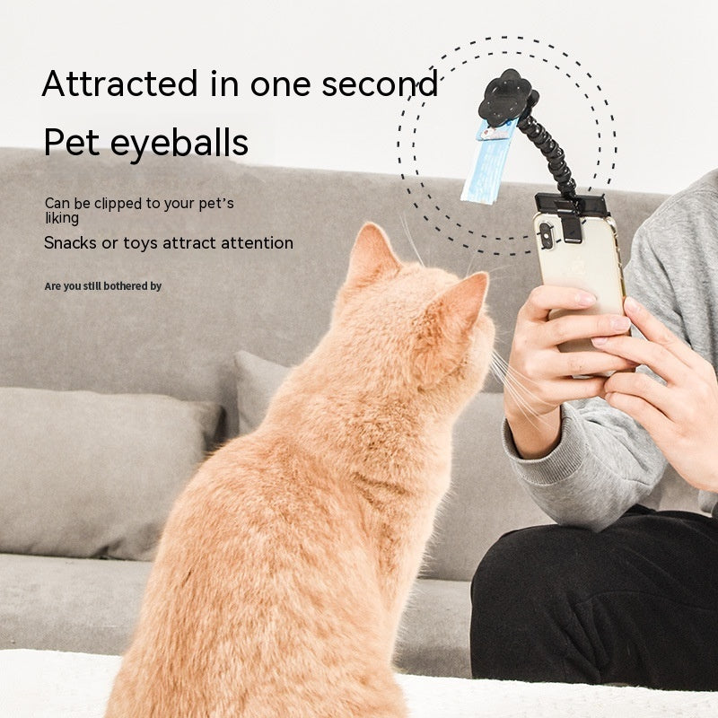 Pet Photography Tool - Zoomies