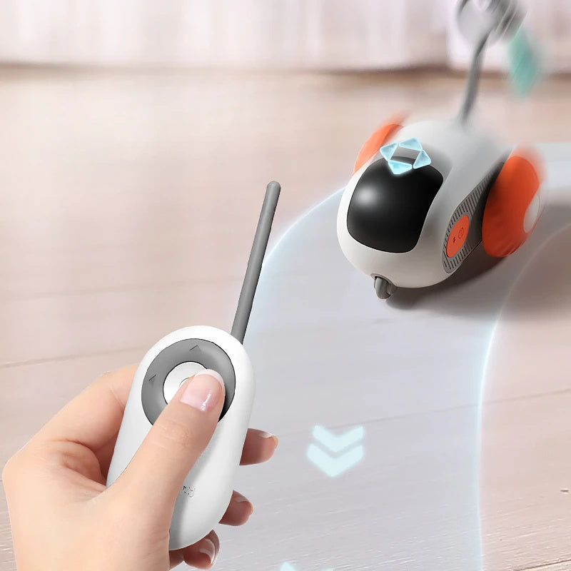 Remote Control Interactive Car Toy - Zoomies