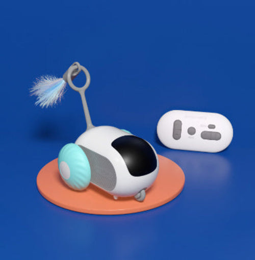 Remote Control Interactive Car Toy - Zoomies