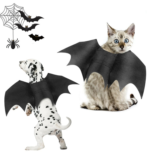 Pet Bat Wings Costume - Zoomies