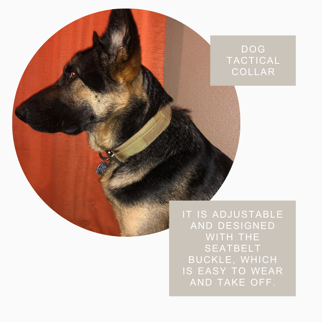 Durable Military Tactical Collar - Zoomies