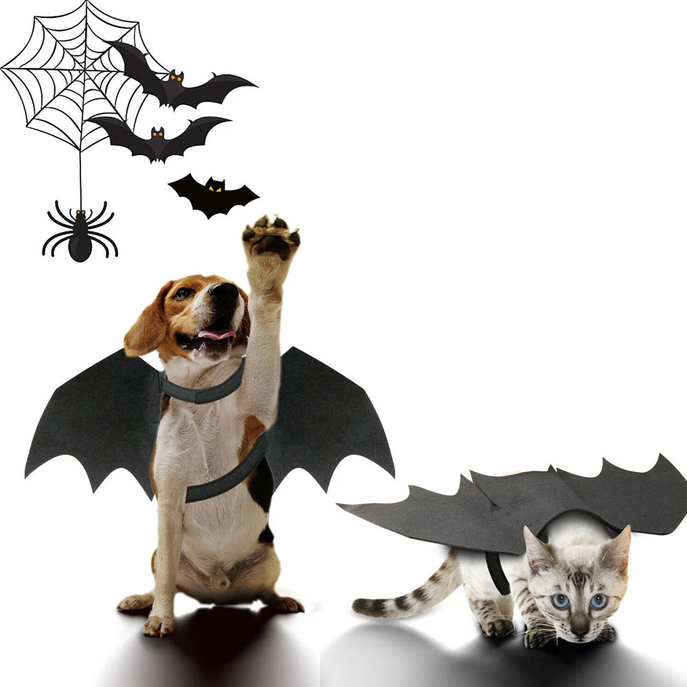Pet Bat Wings Costume - Zoomies