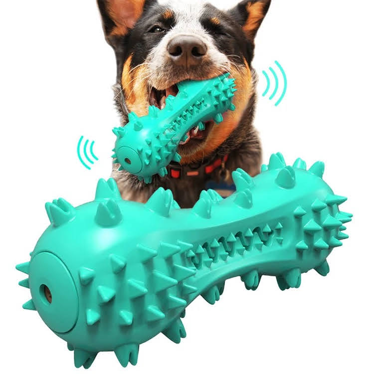 3 Pack Pet Squeaky Toothbrush - Zoomies