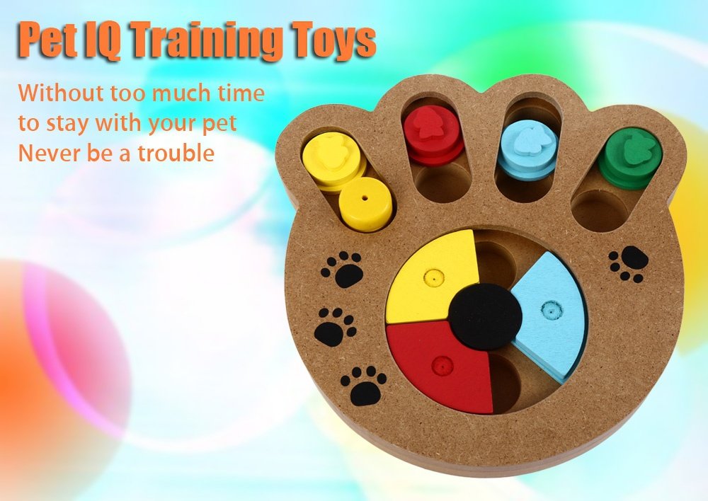 Food IQ Training Pet Toy - Zoomies