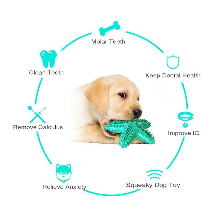 3 Pack Pet Squeaky Toothbrush - Zoomies