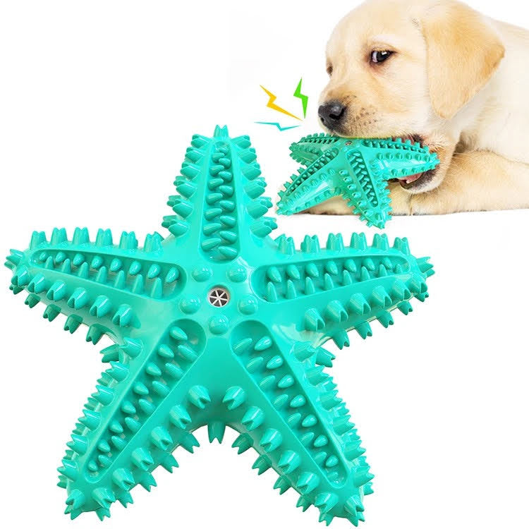 3 Pack Pet Squeaky Toothbrush - Zoomies