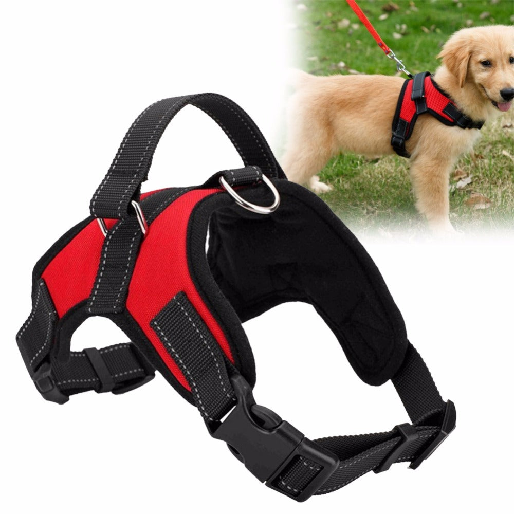 Adjustable Pet Harness - Zoomies