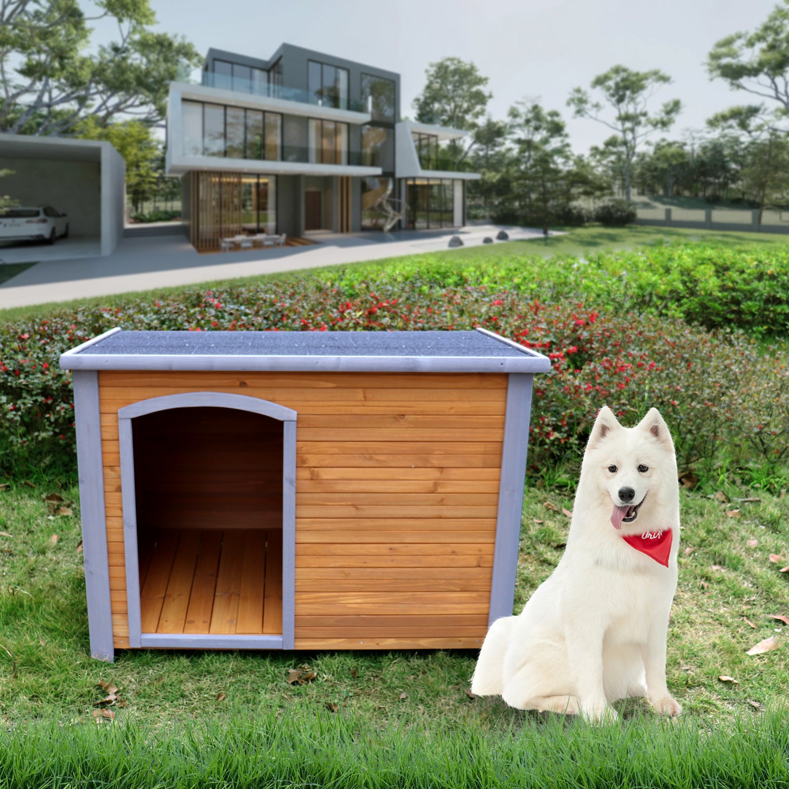 Wooden Dog House - Zoomies
